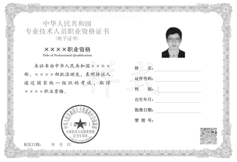 专业技术人员职业资格电子证书样式