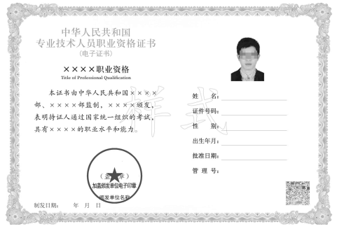 专业技术人员职业资格电子证书样式